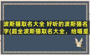 波斯猫取名大全 好听的波斯猫名字(超全波斯猫取名大全，给喵星人起个好听的名字)